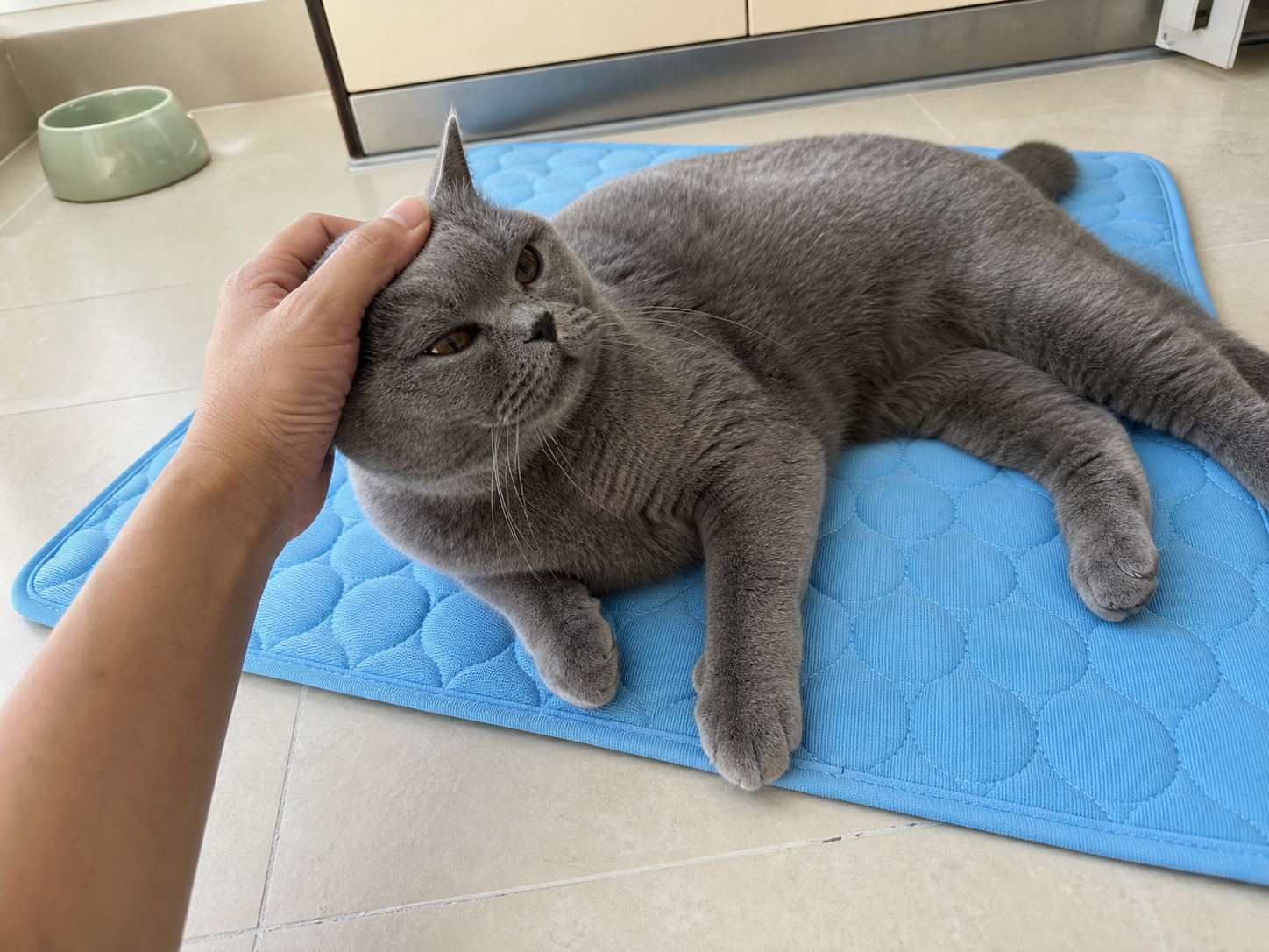 Norvyn Cooling Mat for Cats