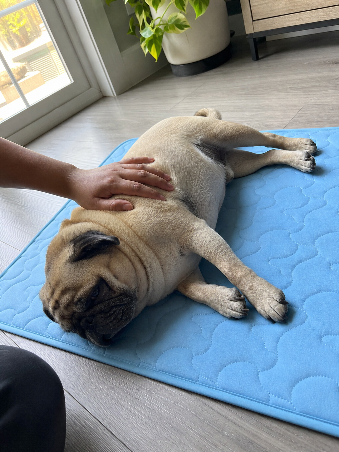 Norvyn Cool Breath Mat for Dogs